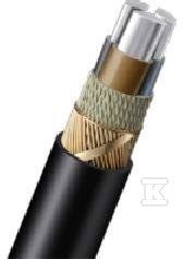 Kabel energetyczny NYCWY 3×10/10 RE 1kV G-108381