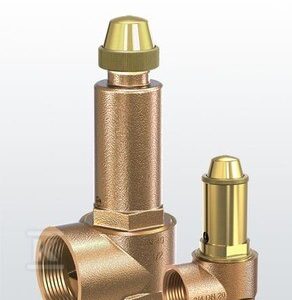 Zawór bezpieczeństwa DSV 15-3.0 F 30105120430
