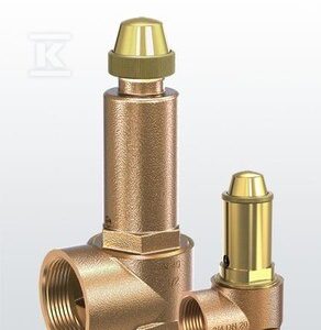 Zawór bezpieczeństwa DSV 15-7.0 F 30105120470