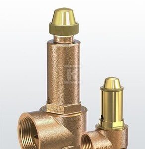 Zawór bezpieczeństwa DSV 25-10.0 F 30105120610