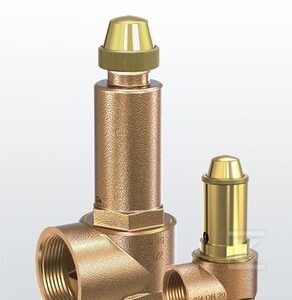 Zawór bezpieczeństwa DSV 50-4.0 F 30105120940